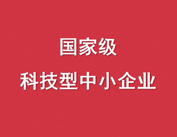 国家级科技型中小企业(咨询服务)